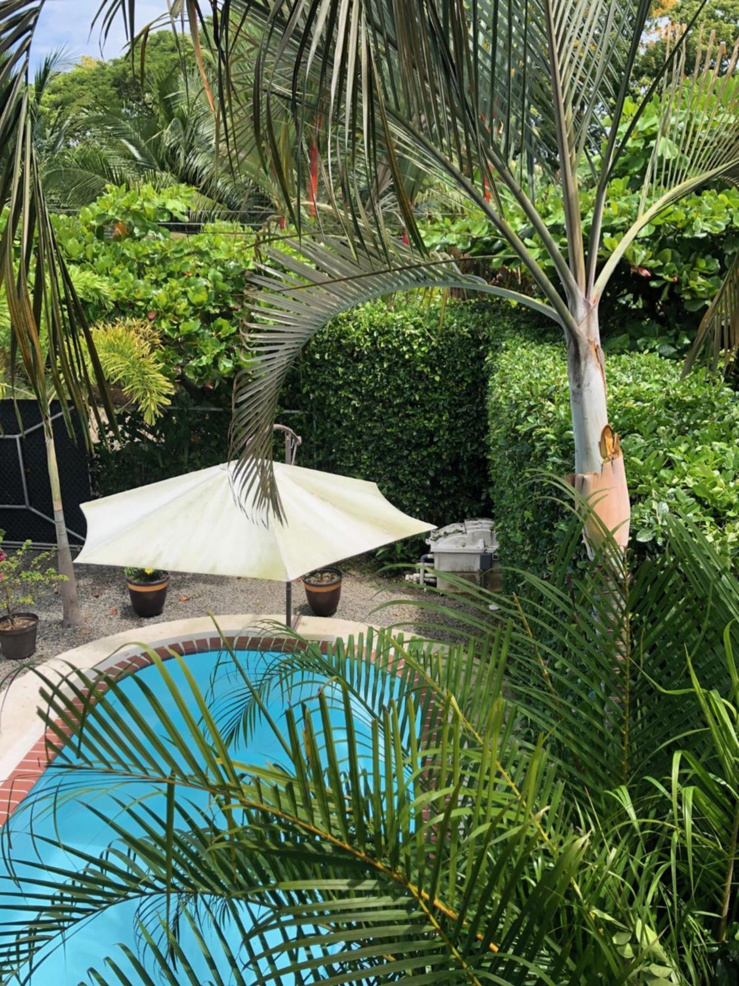 Casa Toucan Mit Privat Pool Near Np Ballena Uvita Extérieur photo